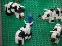 cows-alien-1.jpg