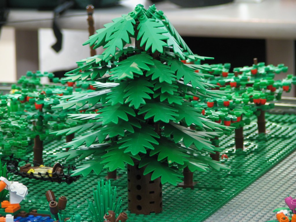 tree-1.jpg
