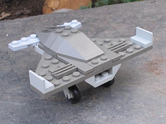 gnat8.jpg