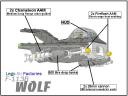 wolf.jpg