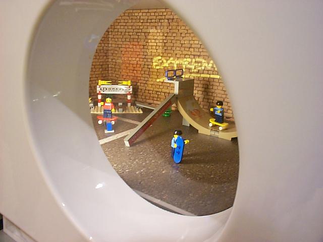 trip10.jpg