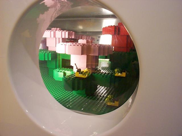 trip11.jpg