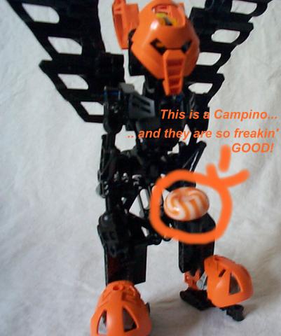 thisisspinalcampino.jpg