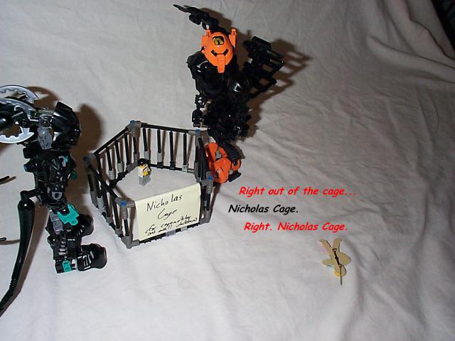 cagematch13.jpg