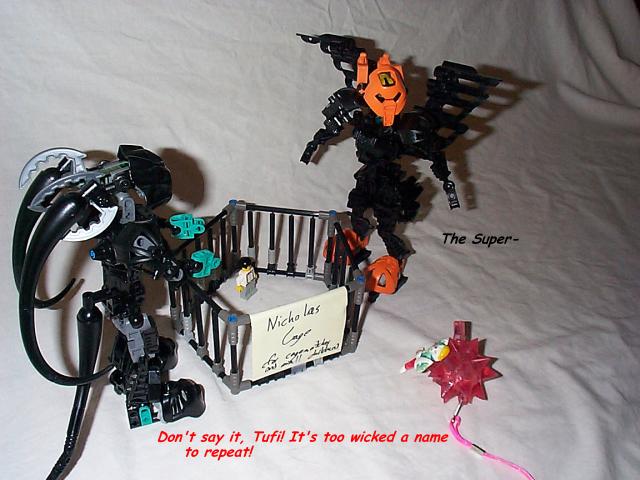 cagematch15.jpg