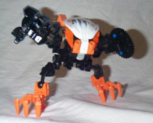 aaacirnok01.jpg