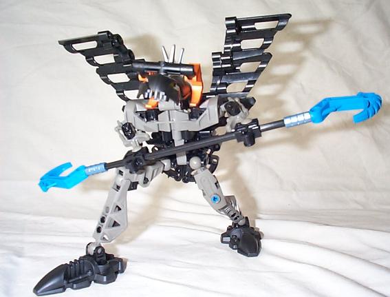 aaacir01.jpg
