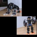 whitedragonbionut.gif
