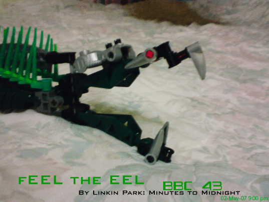 c43_012.gif