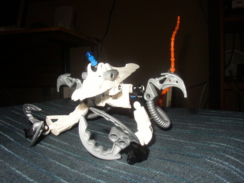 c43_098.jpg