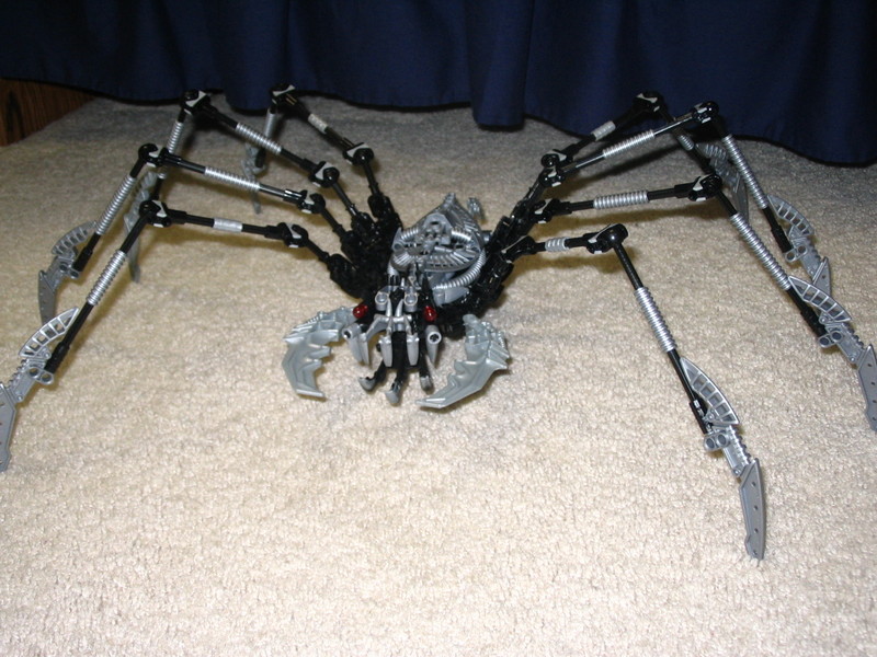c43_145.jpg