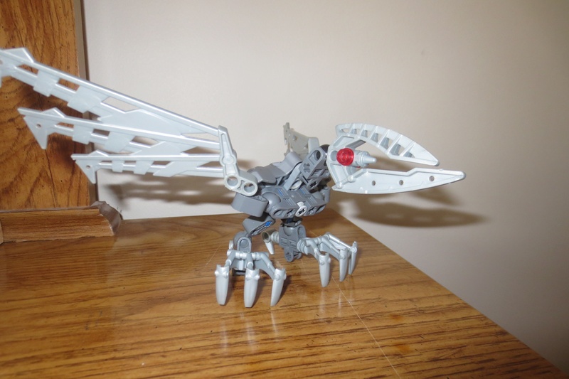 c65_02.jpg