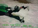 c43_012.gif