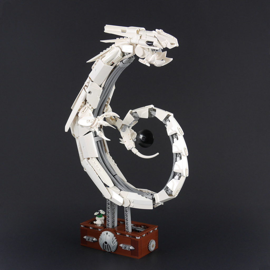 c75_005a.jpg