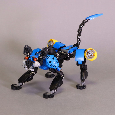 c81_005.jpg