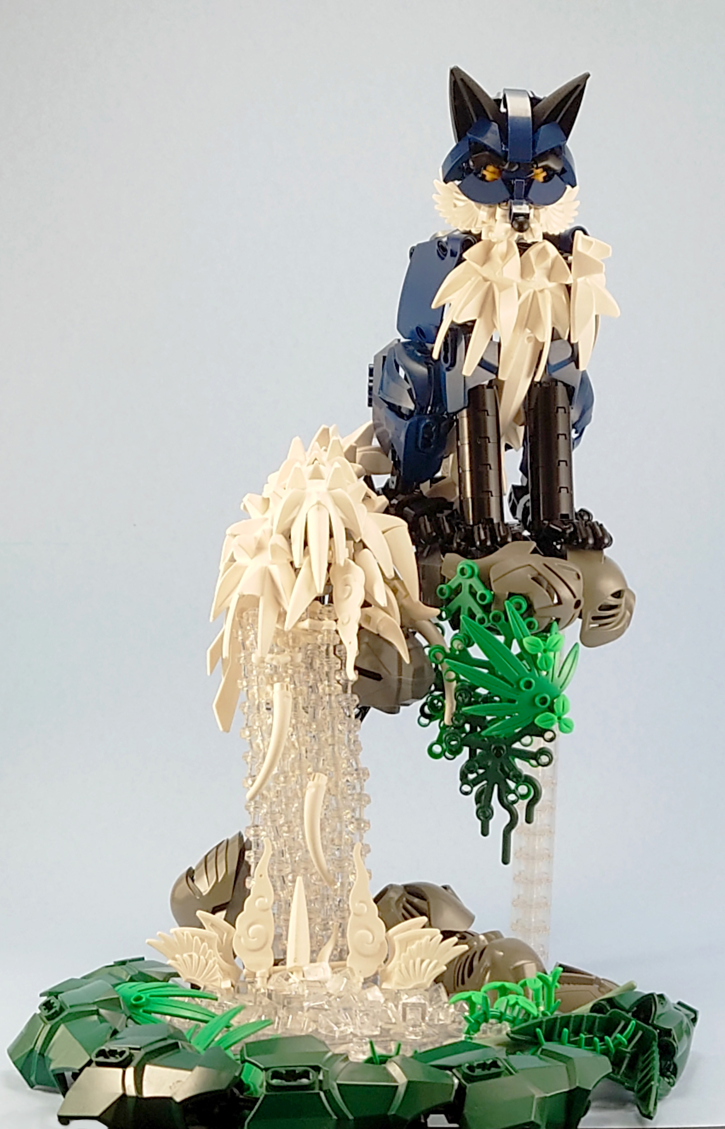 c81_009.jpg