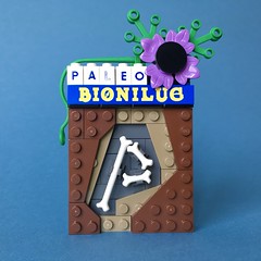 tbbc_008.jpg