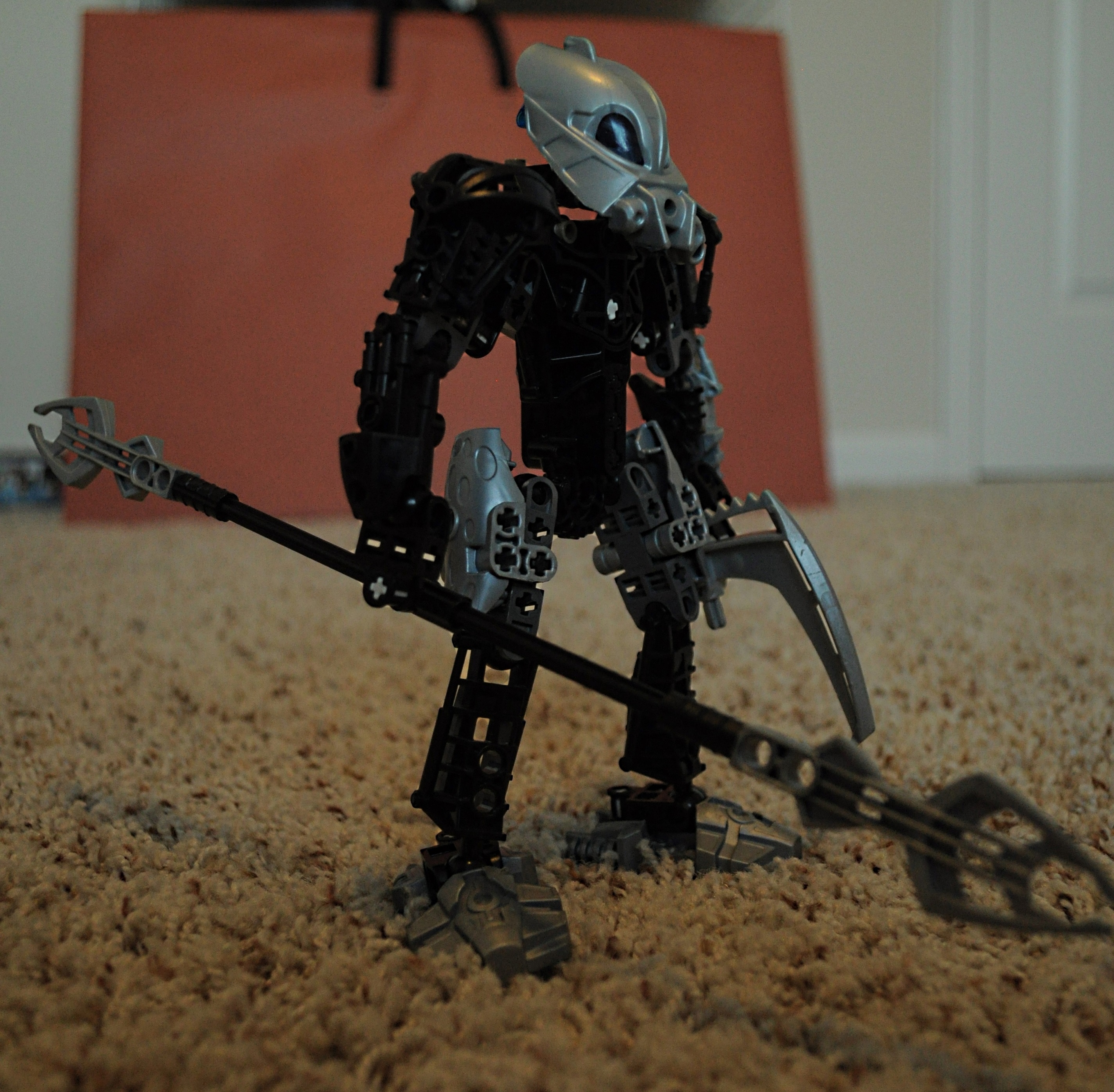 c73_006.jpg