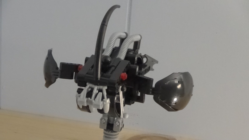 c73_009.jpg