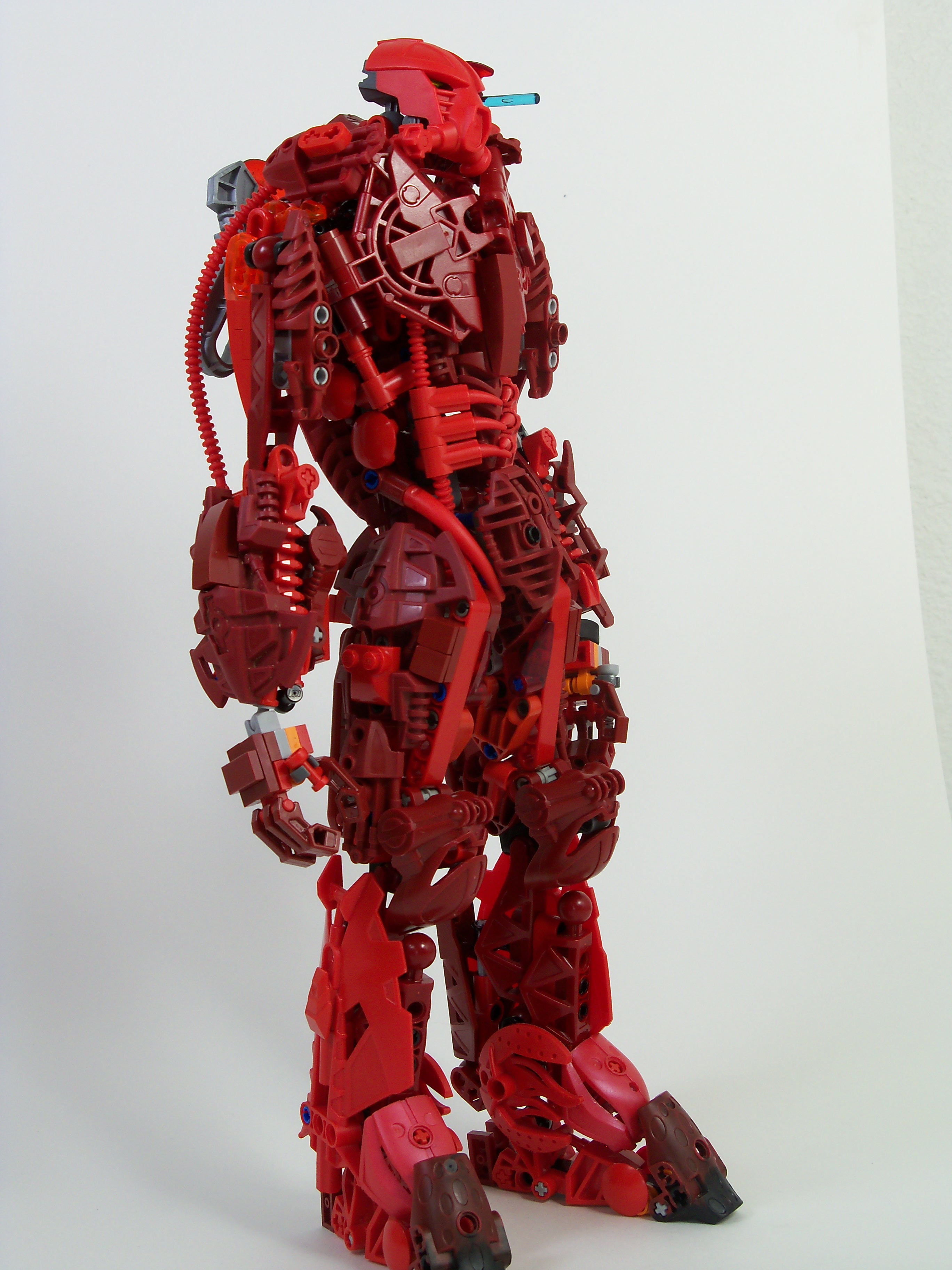 c73_010.jpg