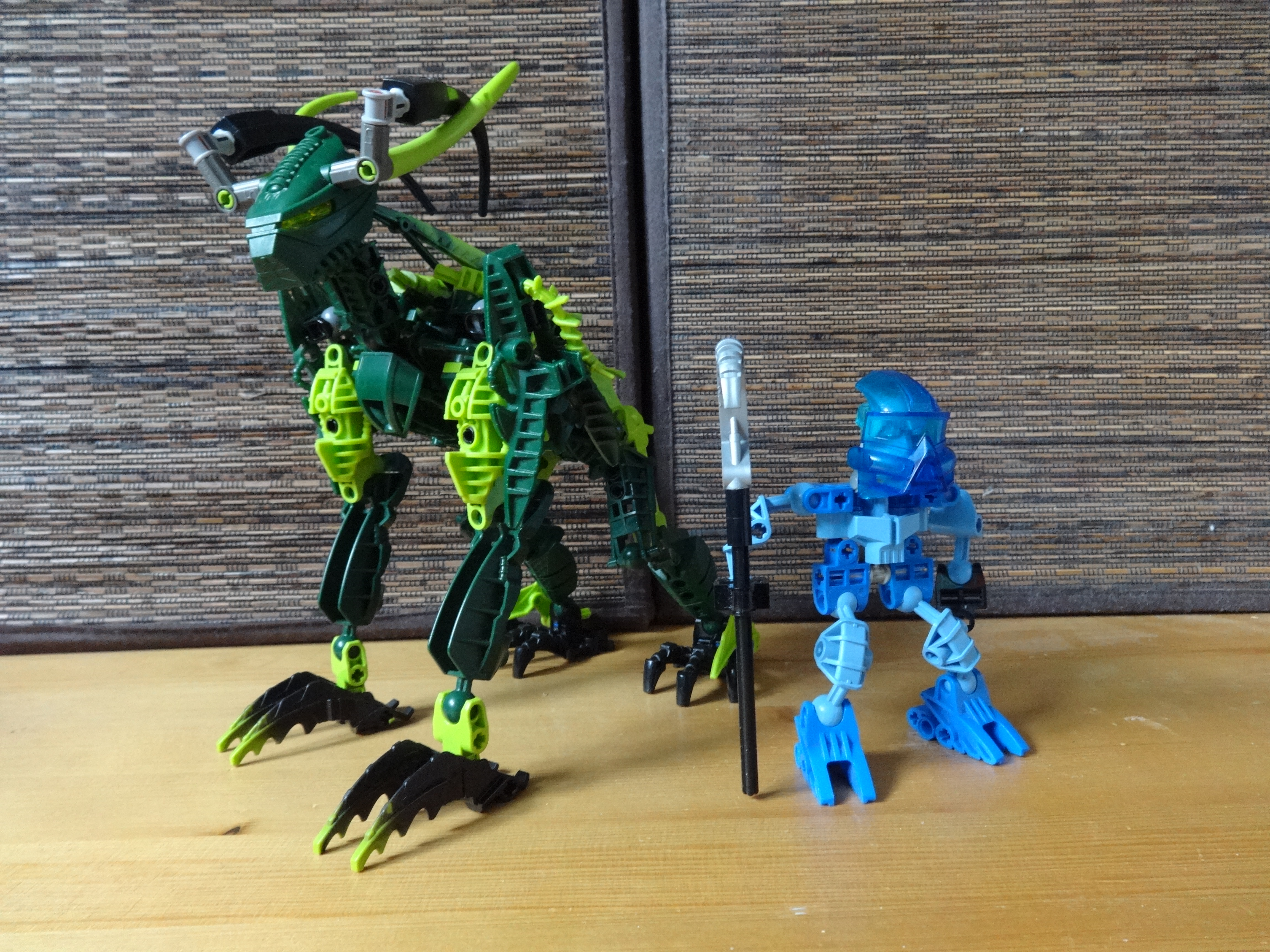 c73_011.jpg