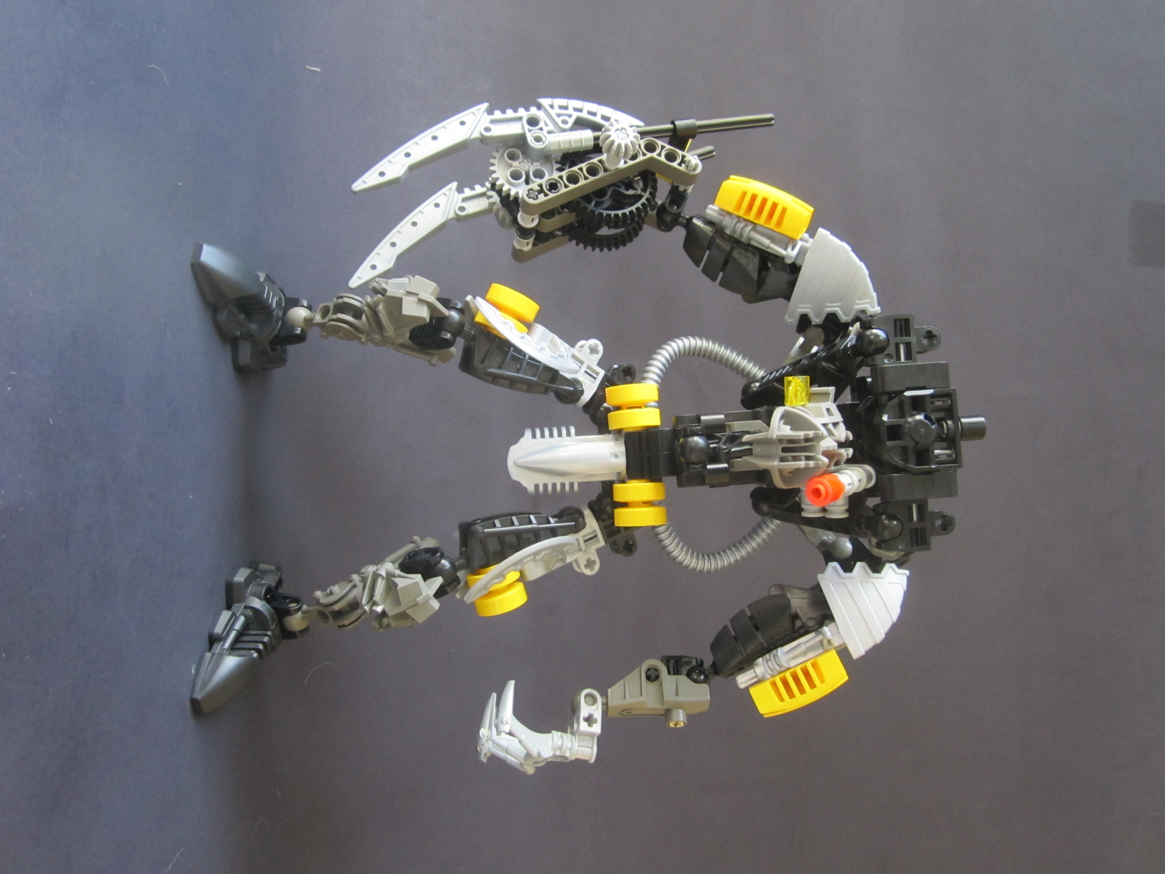 c73_025.jpg