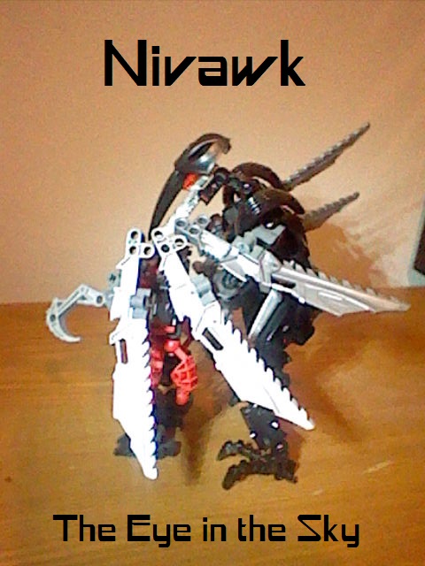 c69_089.jpg