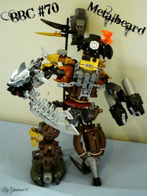 c70_013.jpg