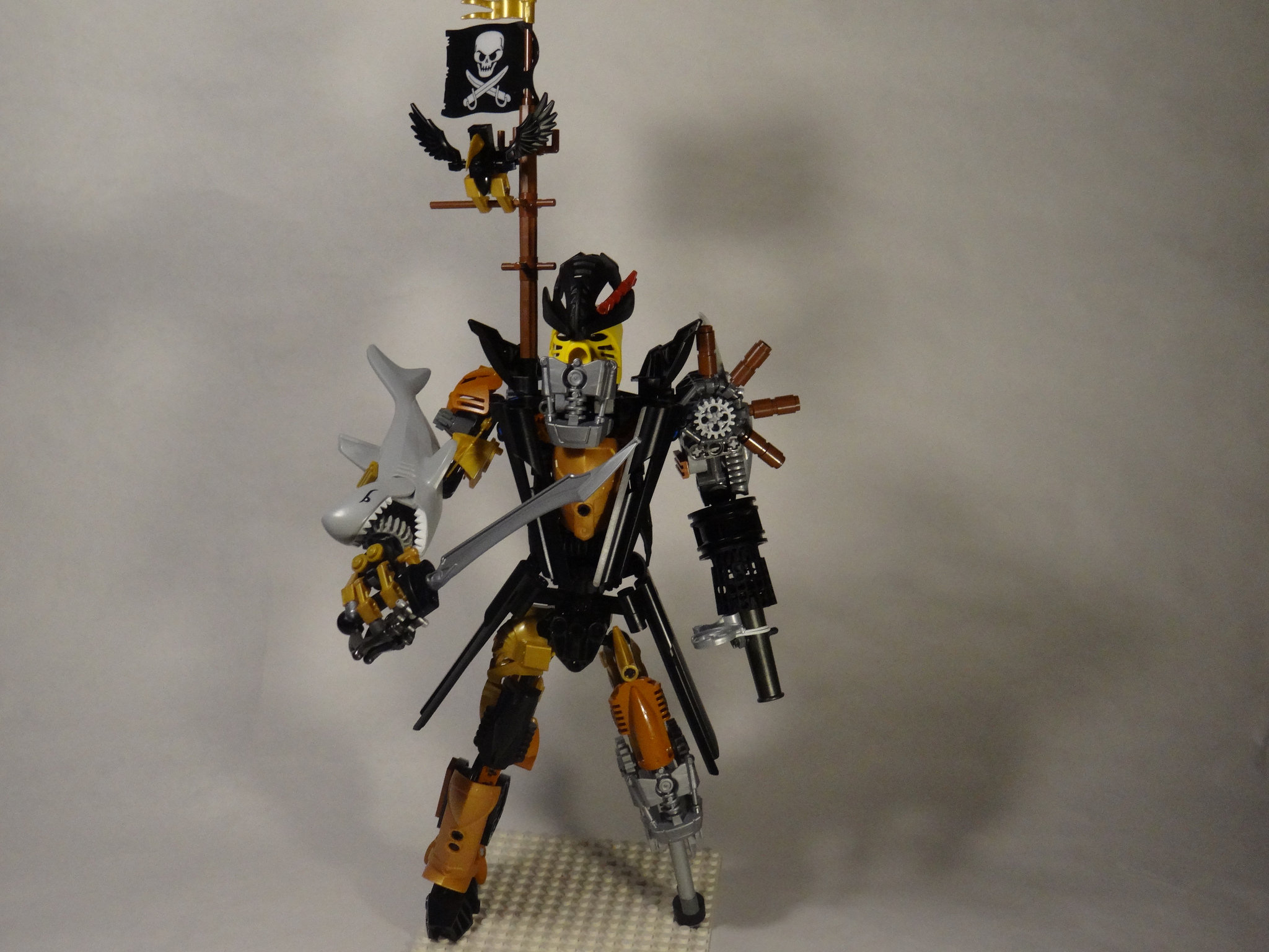 c70_017.jpg