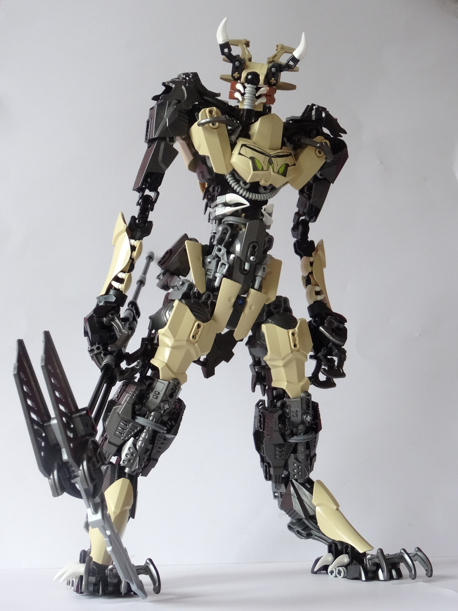 c71_006.jpg