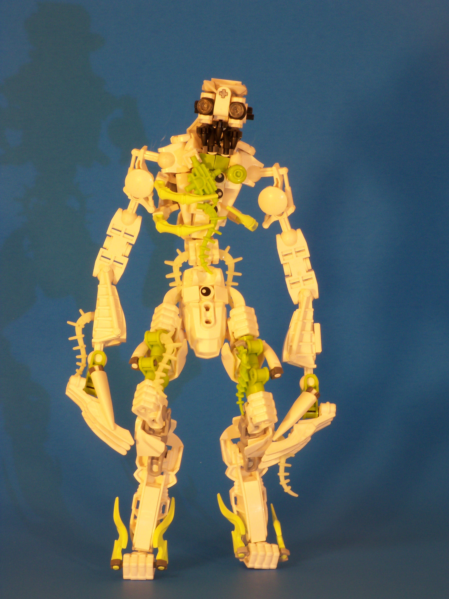 c71_017.jpg