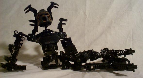 aaafemkuta01.jpg