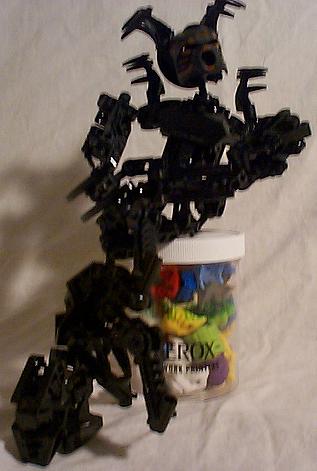 femkuta06.jpg