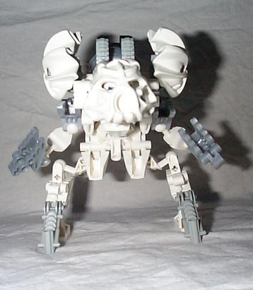 aaaiorek01.jpg