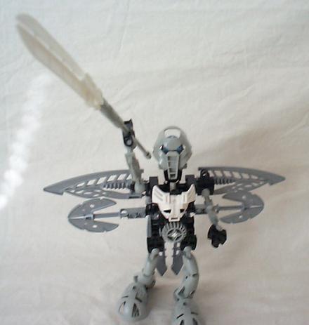 aaamerbo01.jpg