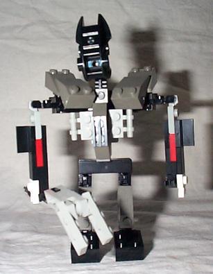 aaminikuta01.jpg