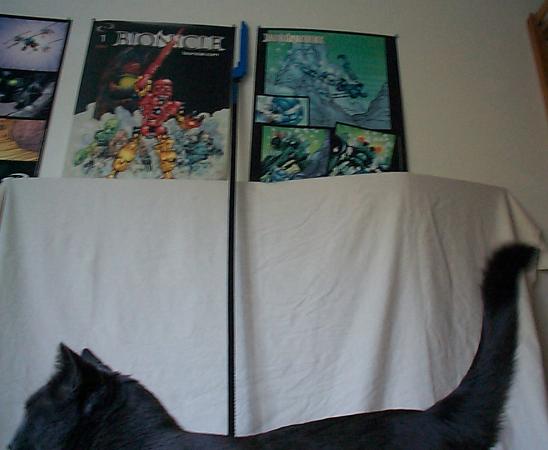 aaamneglaive01.jpg