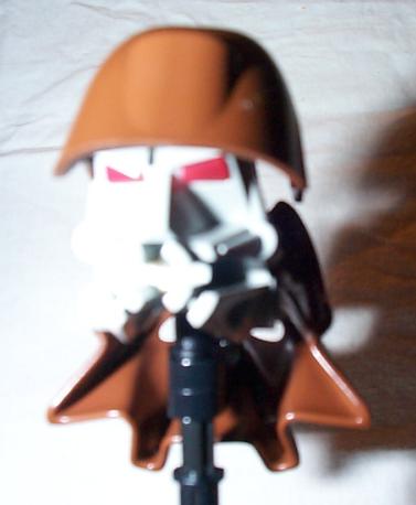 aaamull01.jpg