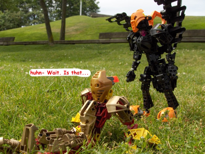 npharus07.jpg