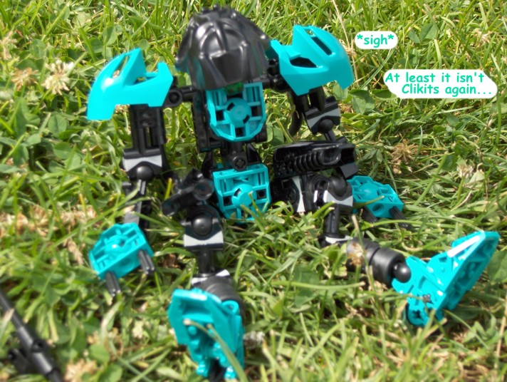 npharus08.jpg