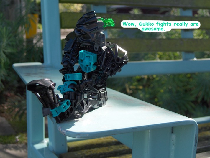 npharus13.jpg