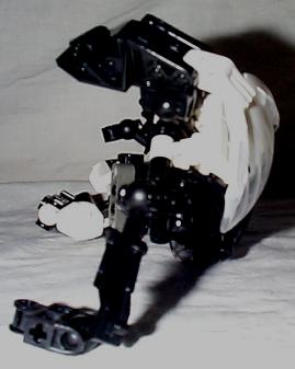 badge06.jpg