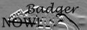 zbadgebadge.jpg