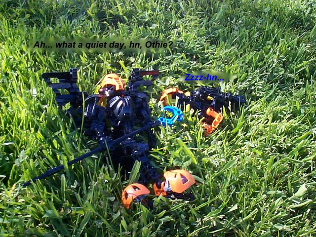 puffins11.jpg