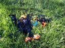puffins11.jpg