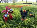 puffins13.jpg