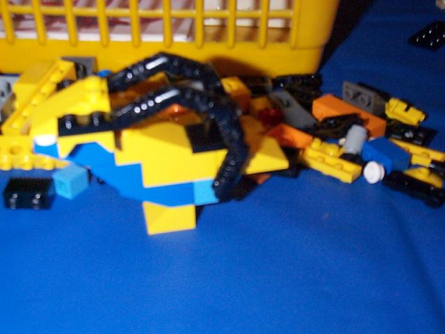 bpuffin01.jpg