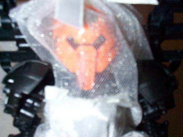 bridetufi03.jpg