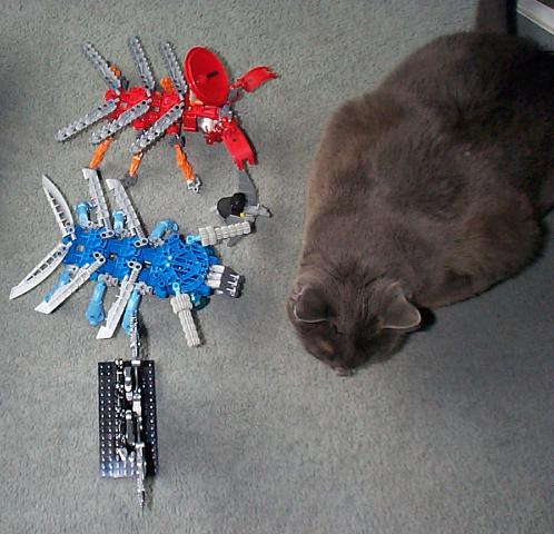 bugstuff02.jpg