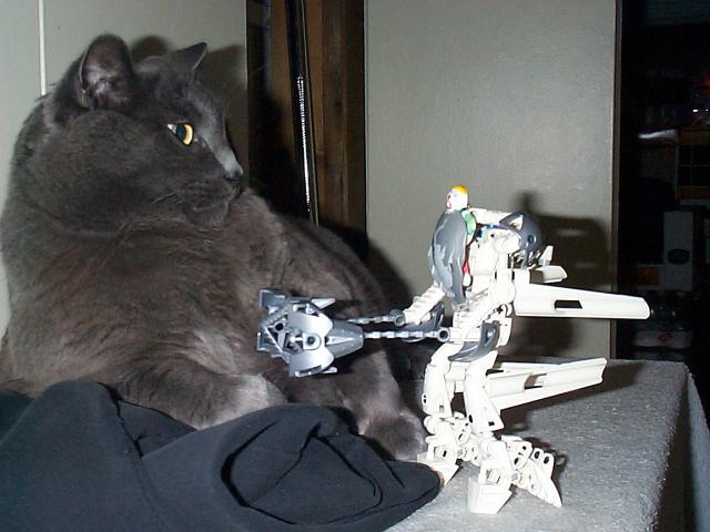 jackbill01.jpg